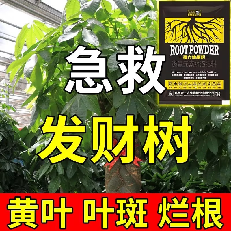 发财树烂根生根粉黄叶枯叶烂根专用发财树肥料专用肥急救发财树