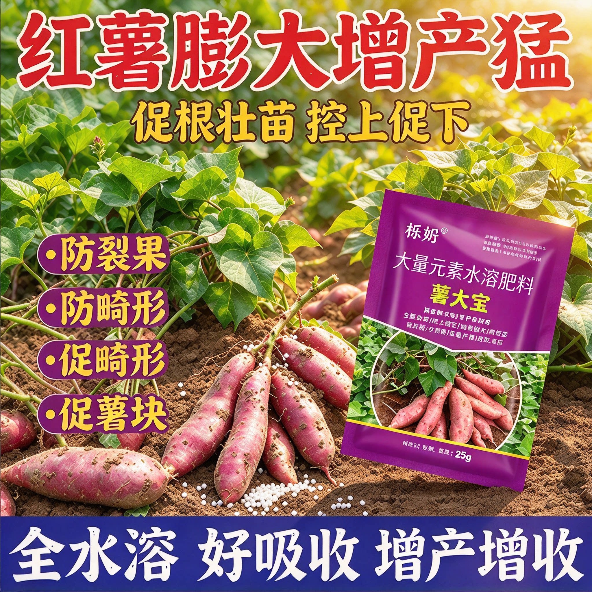 【红薯不打顶】红薯控旺药红薯矮化灵控旺只长红薯不长叶提高产量