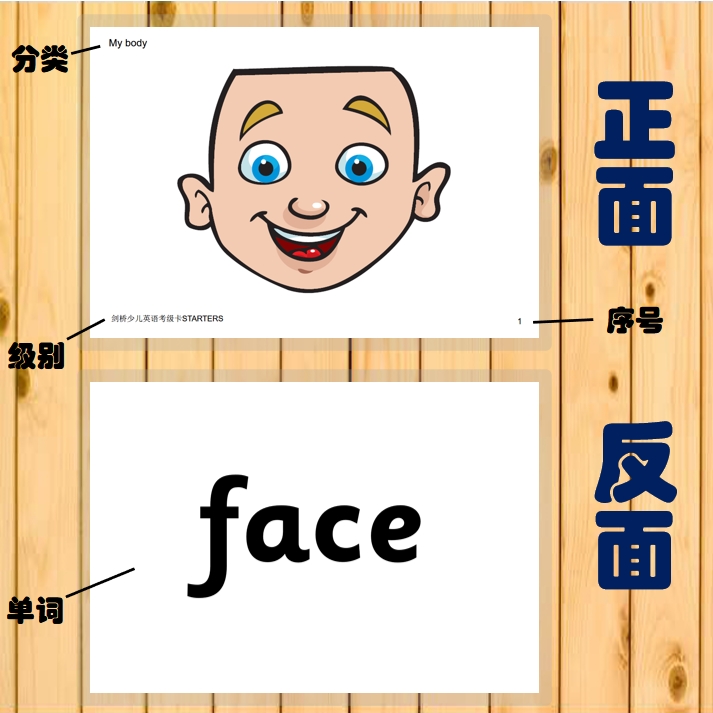 剑桥少儿英语starters,movers,flyers yle考级双面单词闪卡塑封