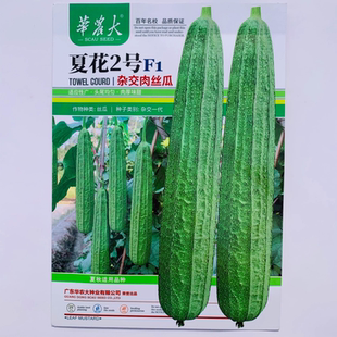 华农大夏花2号杂交肉丝瓜种籽耐热早中熟大肉花点丝瓜种子夏秋季