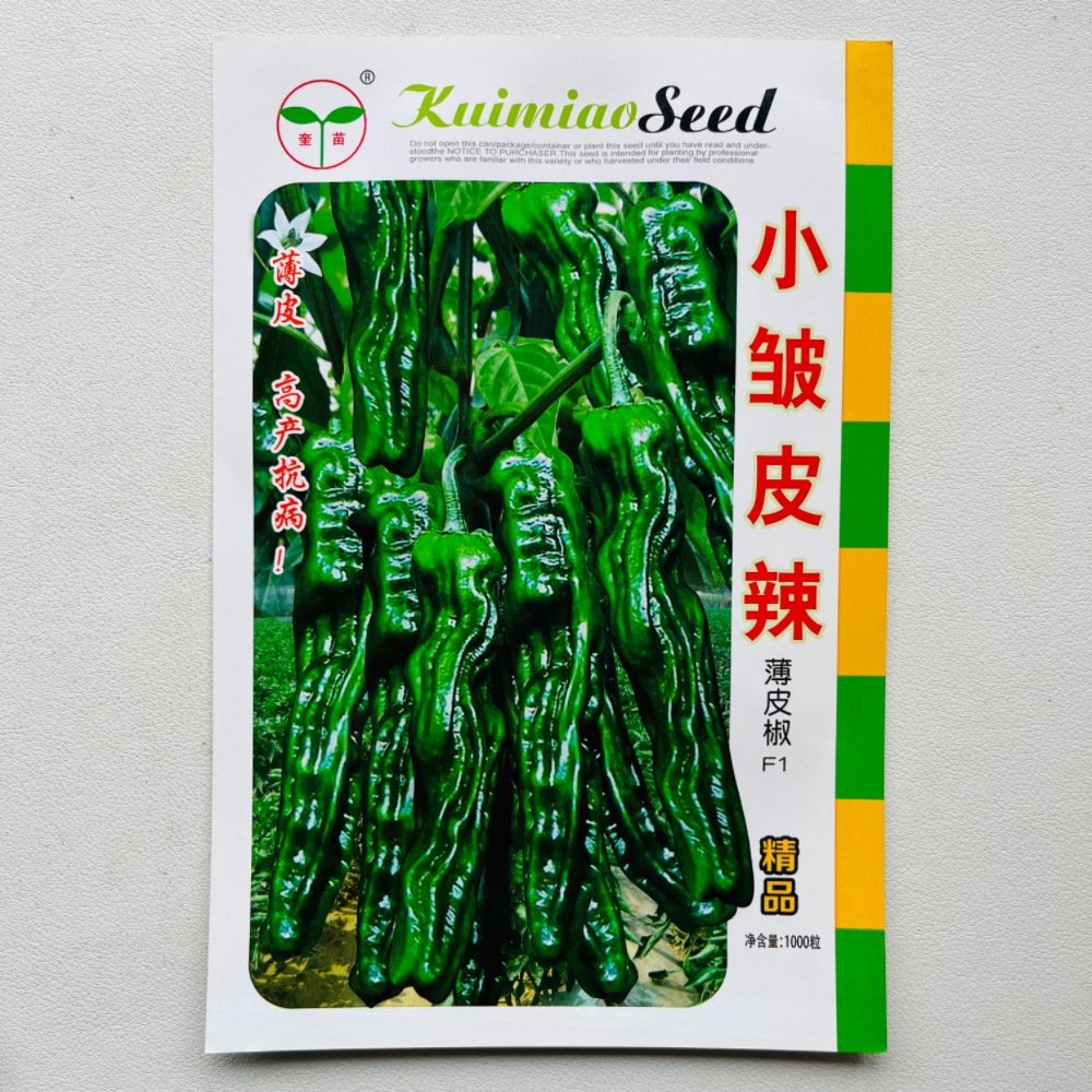 奎苗香辣小皱皮辣椒种籽抗病早熟高产深绿皮一代杂交优质蔬菜种子