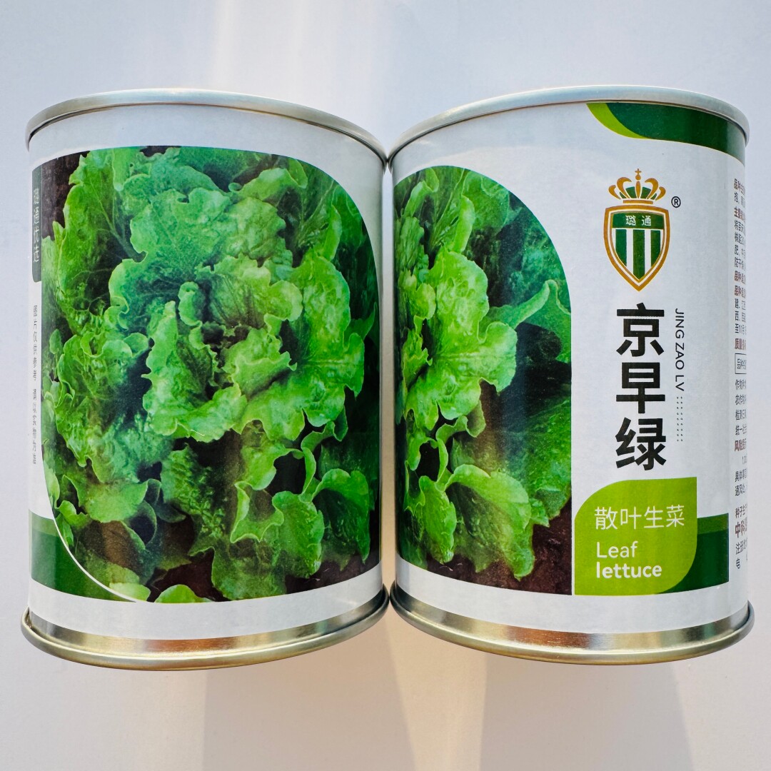 璐通京早绿散叶生菜种子叶质脆嫩耐热耐湿绿叶生菜种籽春秋季播种
