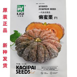 卡其癞蜜栗 磨盘南瓜种子 口感好粉面香甜高产耐热抗病 春夏播种
