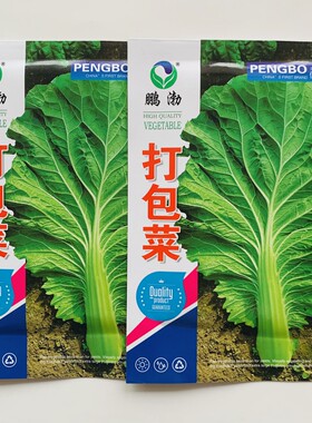 打包菜种子东北饭包菜种籽饭包叶大白菜种籽农家春秋季播蔬菜种孑