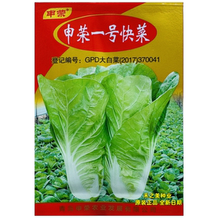 申荣一号快菜种子四季速生小白菜叶质柔软无茸毛早熟杂交快菜种籽