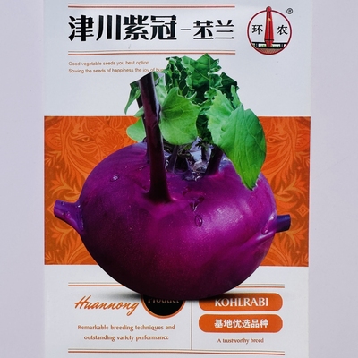 环农津川紫冠苤兰种子中熟杂交水果紫苤蓝种籽农家秋季播蔬菜种孑