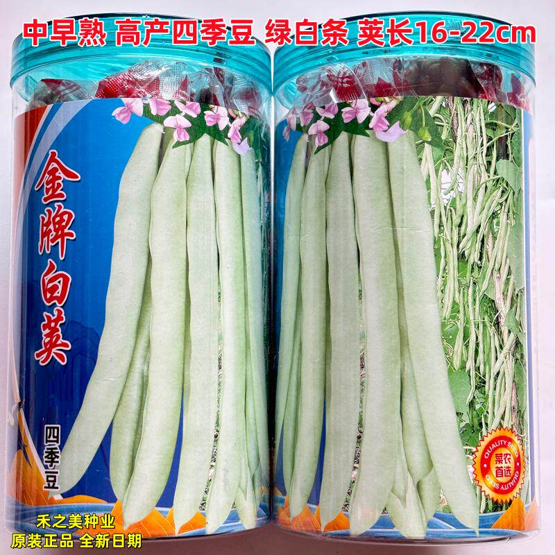 红花白荚四季豆种子蔬菜种子套餐蔬菜种子/种苗