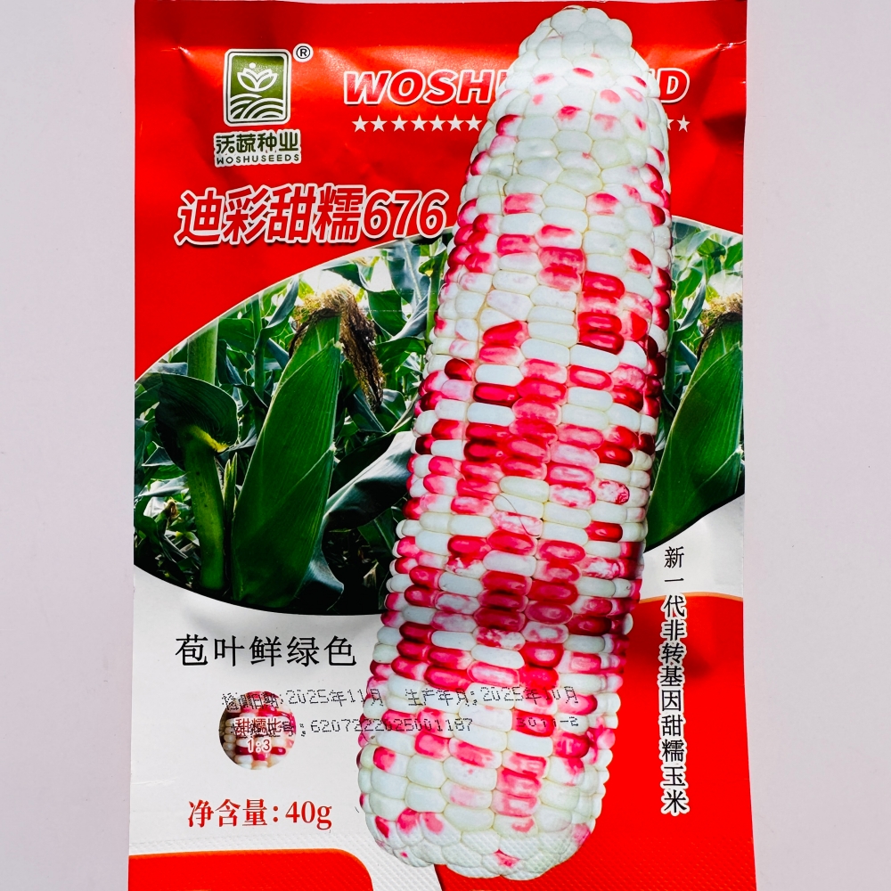 迪彩甜糯676彩糯玉米种子新一代非转基因甜糯玉米种籽春秋季播种