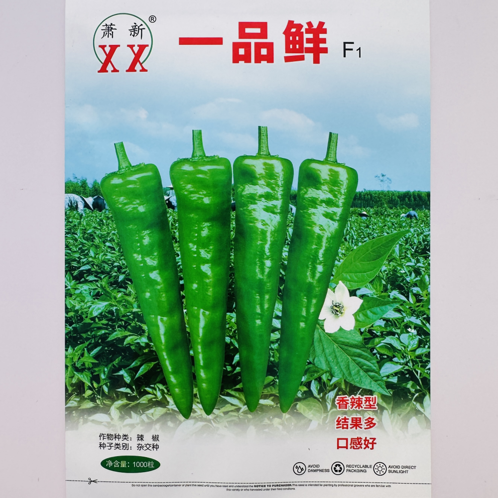 萧新一品鲜辣椒种子早熟高产樟树港椒种籽薄皮椒种孑农家春秋季播