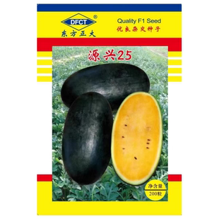 源兴25黑皮黄瓤西瓜种子超甜四季春季黑美人懒汉西瓜种籽蔬菜种孑