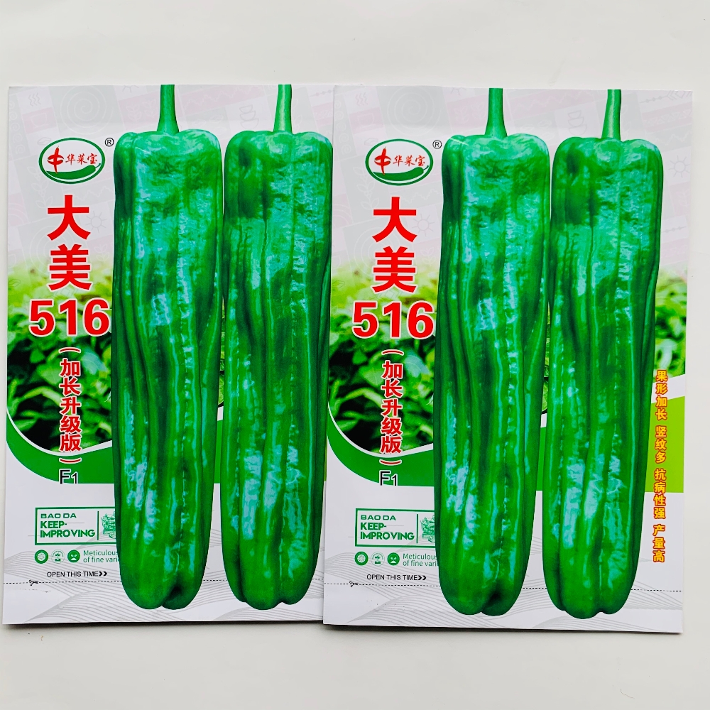 大美516加长升级版大果薄皮泡椒种子抗病高产杂交早熟辣椒种籽孑
