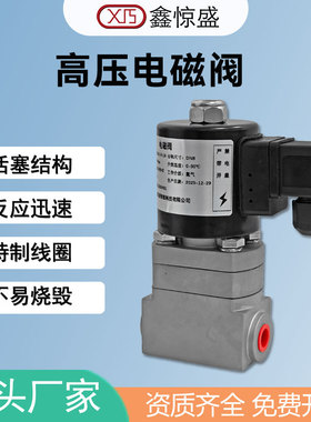 气体不锈钢高压电磁阀水阀气阀电磁开关控制阀10 15 20 25 30mpa