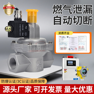 商用酒店饭店天然气切断阀