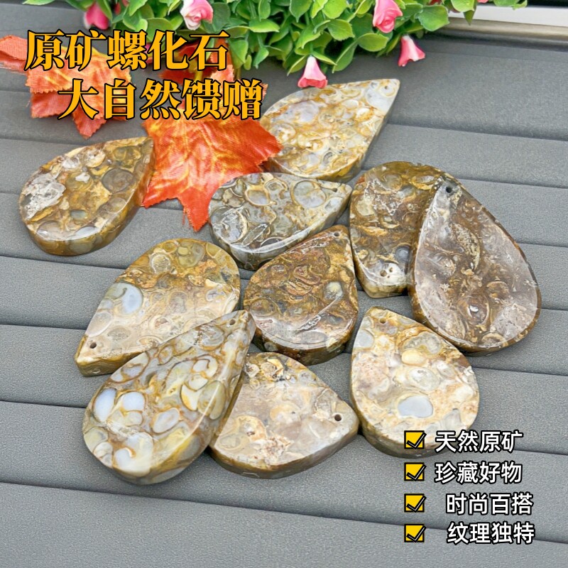 天然海螺化石天珠吊坠玉化蓝螺男女项链挂件包包挂手把件饰品礼物