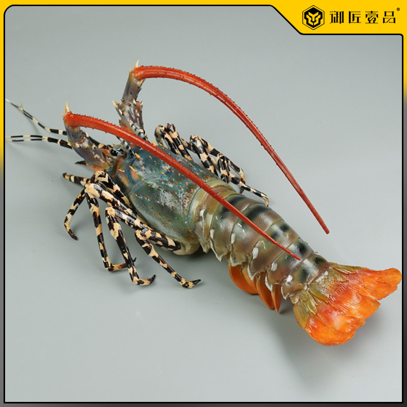 仿真小青龙模型青龙虾花龙虾波士顿龙虾假海鲜水产直播道具摆设