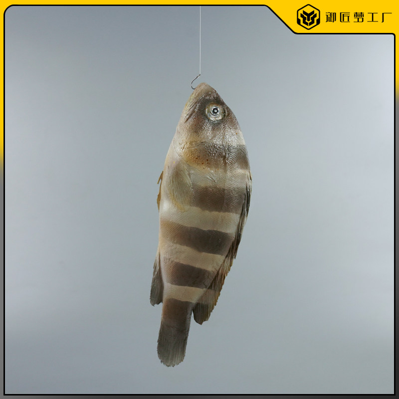 仿真深海鱼黄土斑鱼模型