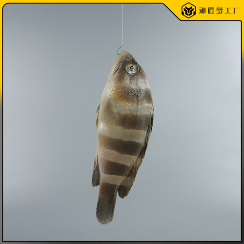 仿真深海鱼黄土斑鱼模型