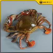 仿真赤甲红蟹模型假海鲜水产海蟹花盖蟹模具仿真大螃蟹三目蟹道具