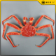仿真帝王蟹模型超大螃蟹模具假海鲜松叶蟹皇帝蟹水产直播道具定做