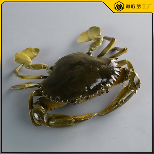 仿真膏蟹模型假大闸蟹公蟹母蟹海鲜水产假样青蟹模型螃蟹道具