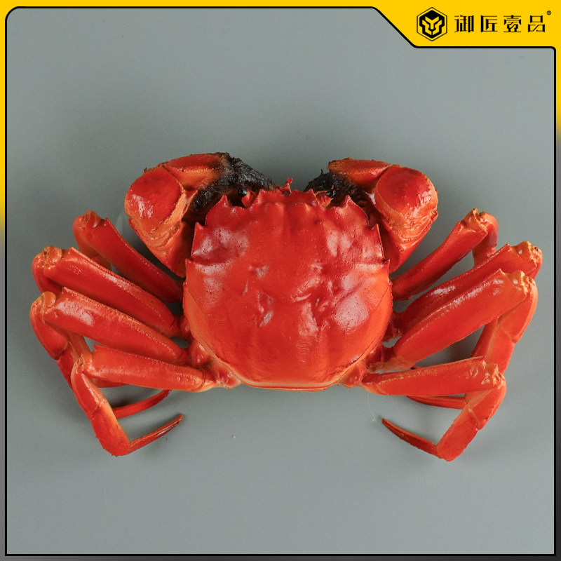 仿真螃蟹模型海鲜大闸蟹摆件仿真阳澄湖大闸蟹道具水产模具展示