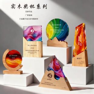 实木水晶奖杯高档大气创意荣誉奖牌优秀员工周年授权牌公司年会