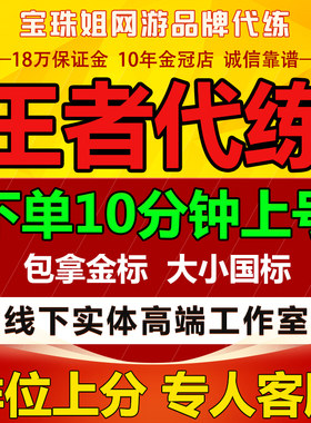 (自助下单)王者荣耀代打代练排位国标省标指定英雄巅峰挑战赛陪练