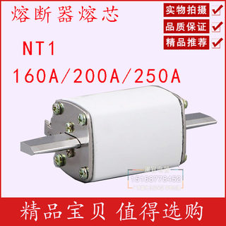 保险管丝 陶瓷熔断器熔芯NT1 RT16-1 R032 RT20 160A 200A 250A