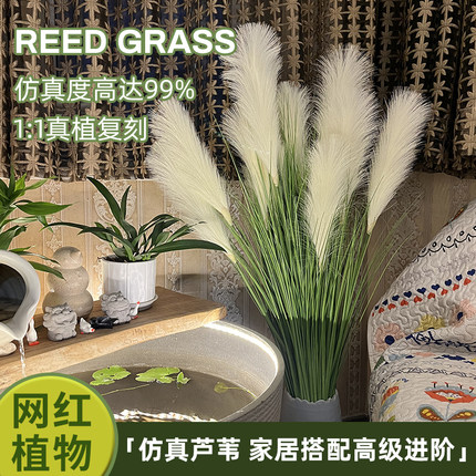 新品仿真芦苇盆栽干花假花五谷杂粮道具狗尾草水生装饰落地绿植物