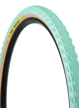 代购日产SimWorks自行车轮胎山地车homage tire 所有地形骑行配件