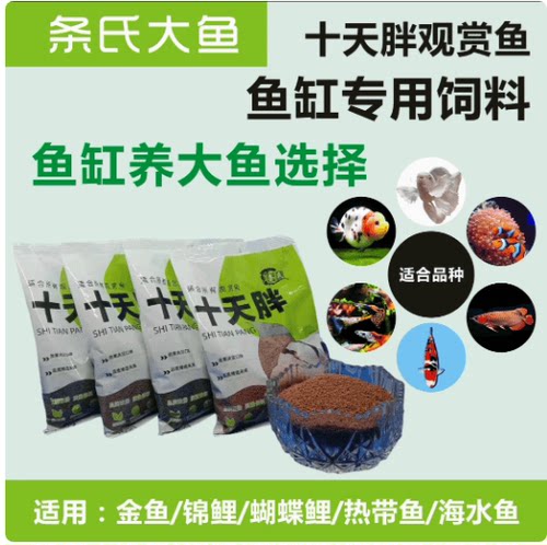 条氏十天胖饲料蝴蝶鲤