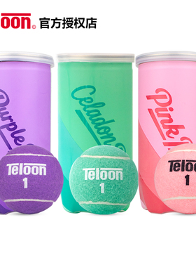 天龙薄荷绿粉色紫色网球PINKPRO Purple训练比赛网球 彩色网球弹