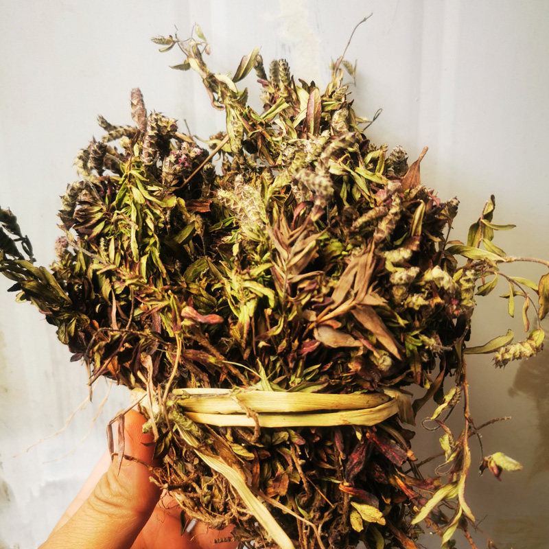 小山茶500克云南野山茶凉茶文山东紫苏散装包邮