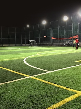 韦步K723足球场仿真地毯人造草坪运动场专用塑料假草皮30mm/50mm