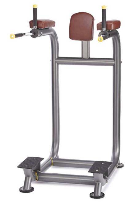 阳锐 6245 提膝练腹架 健身房商用提膝练腹架 单双杠