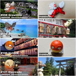 鹊城口袋妖怪-宠物小精灵福袋-洗翠卡蒂狗风速狗洗翠雷电球顽皮弹