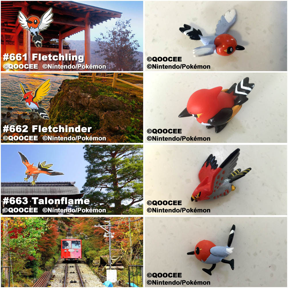 鹊城口袋妖怪-宠物小精灵福袋-精灵宝可梦-小箭雀-火箭雀-烈箭鹟