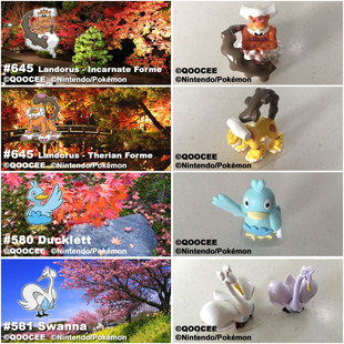 鹊城口袋妖怪-宠物小精灵福袋-精灵宝可梦-土地云-鸭宝宝首席天鹅