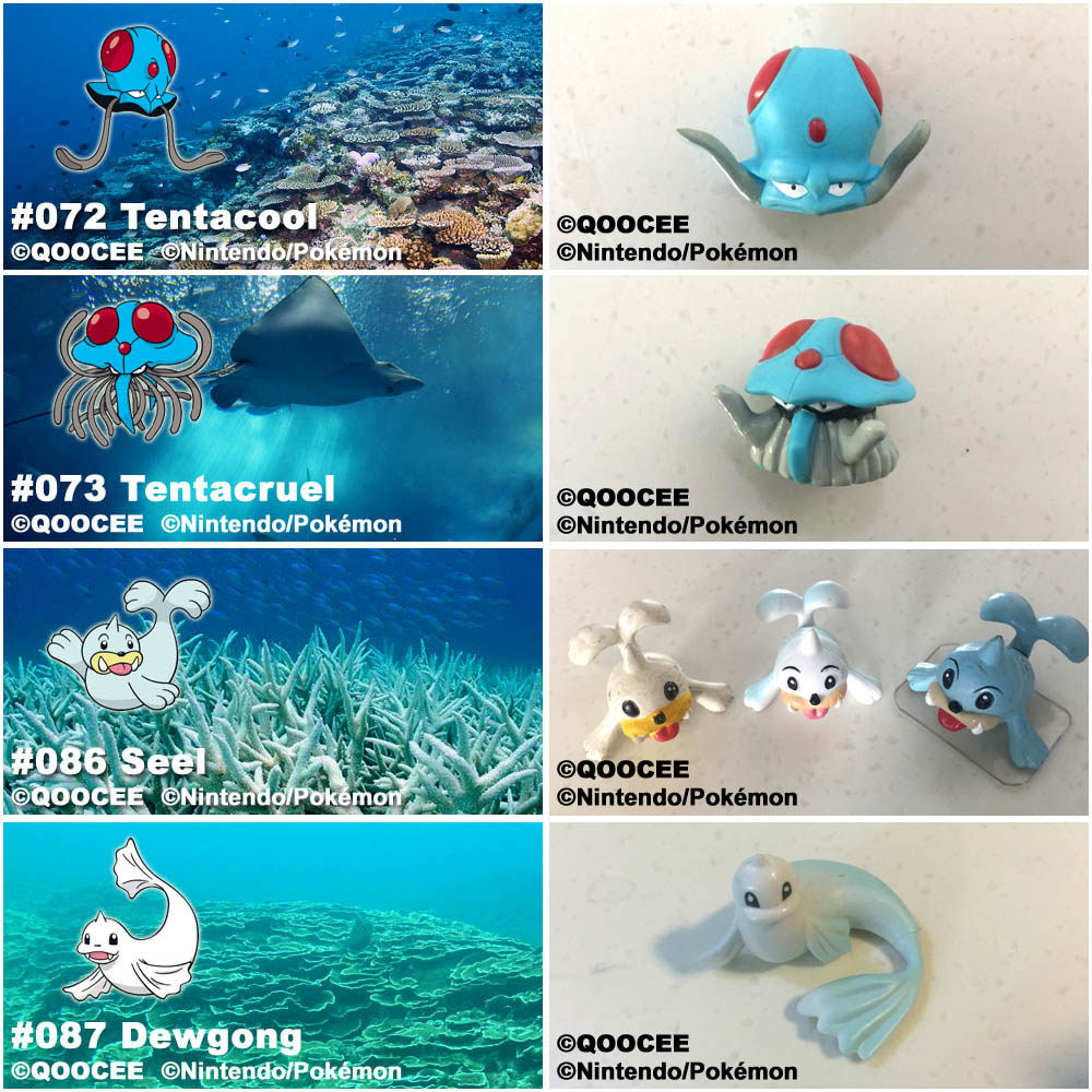 鹊城口袋妖怪-宠物小精灵福袋-玛瑙水母-毒刺水母-小海狮-白海师