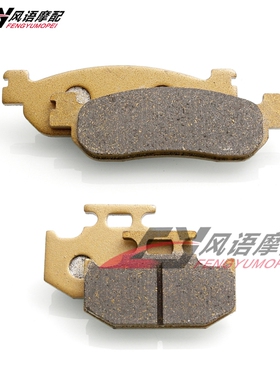 适用雅马哈魔术师XG250 XT225小鹿XT250 Serrow 前后刹车皮碟刹片