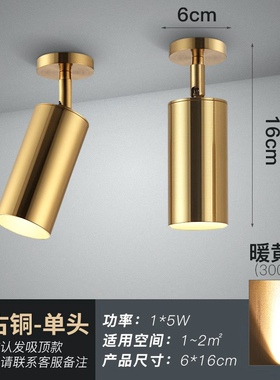 北欧轻奢黄铜金色射灯led灯客厅家用轨道明装吸顶免开孔小天花灯