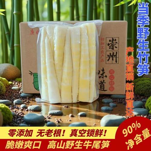 竹笋现挖现发竹笋新鲜嫩笋尖现挖竹笋商用批发火锅食材清水嫩笋尖