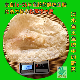 (2-3头)收藏级鲟鳇鱼胶花胶(250克装 需和客服商定才发货