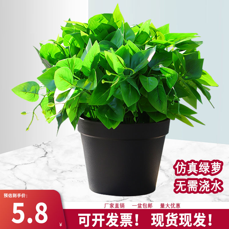 仿真花假花绿萝叶小盆栽