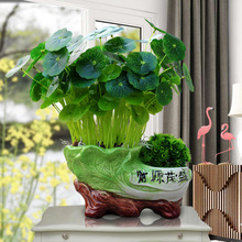 仿真绿植物小盆栽阳台办公桌摆件迷你盆景假花草花卉绿叶花艺