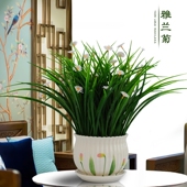 仿真花假花塑料花套装 饰花摆件 仿真绿植室内茶几餐桌电视柜摆设装
