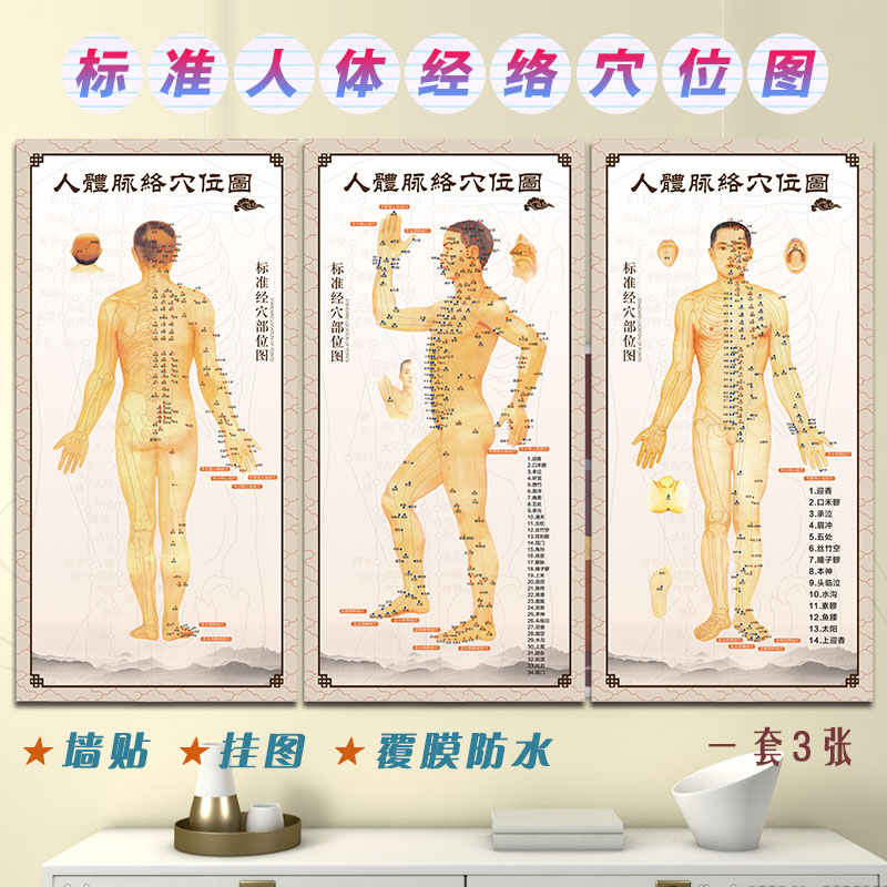 人体标准经络穴位相纸挂图油画布