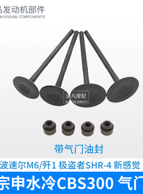 波速尔M6歼1四气门 极盗者4 新感觉 原装宗申CBS300水冷 气门油封