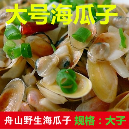 渔博士水产500G海鲜特产新鲜活海瓜子海沙子红薄壳小蛤蜊扁蛤肌蛤