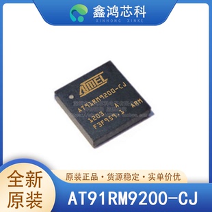 原装正品 AT91RM9200-CJ-002 封装BGA-256 微处理器-MPU 现货供